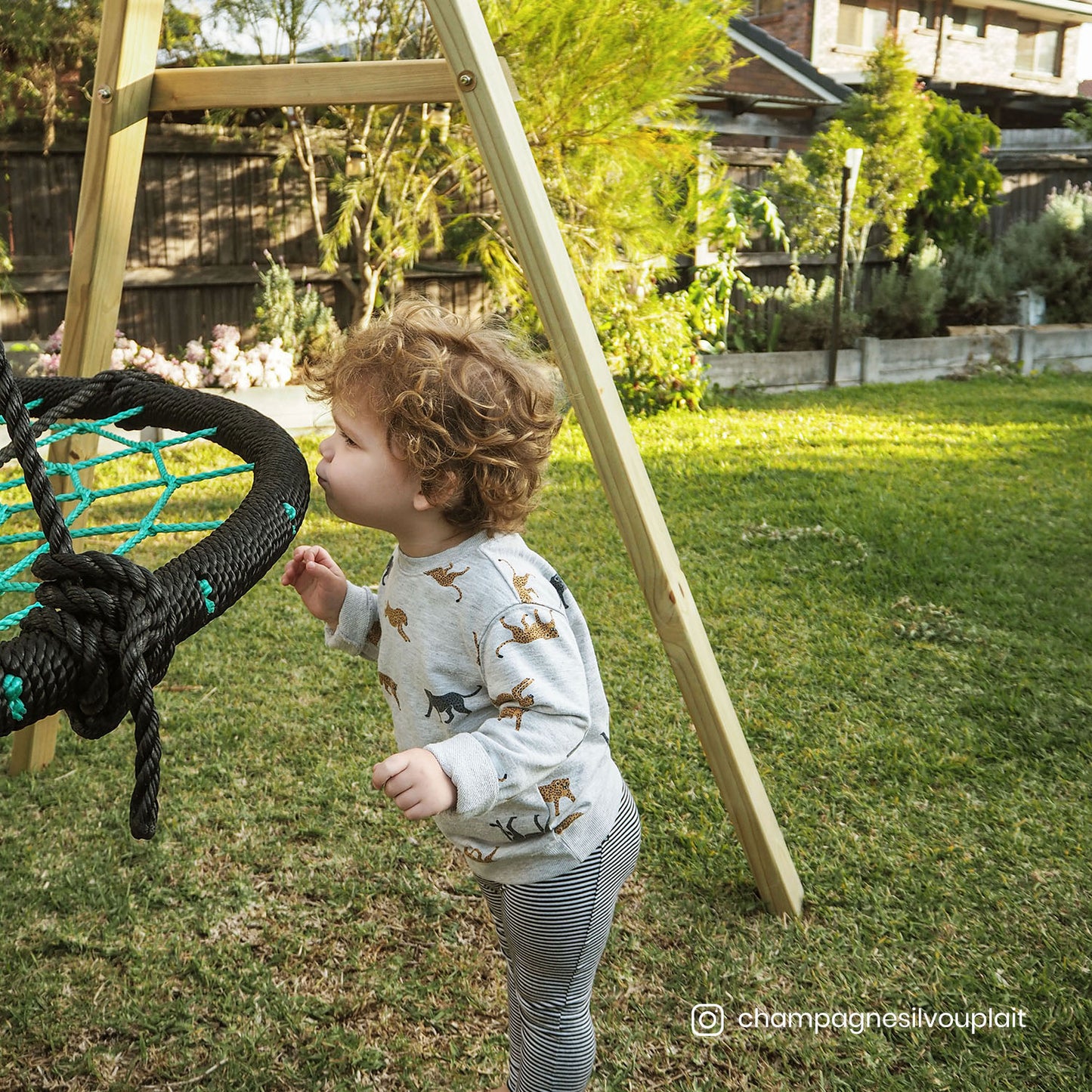 Oakley Swing Set