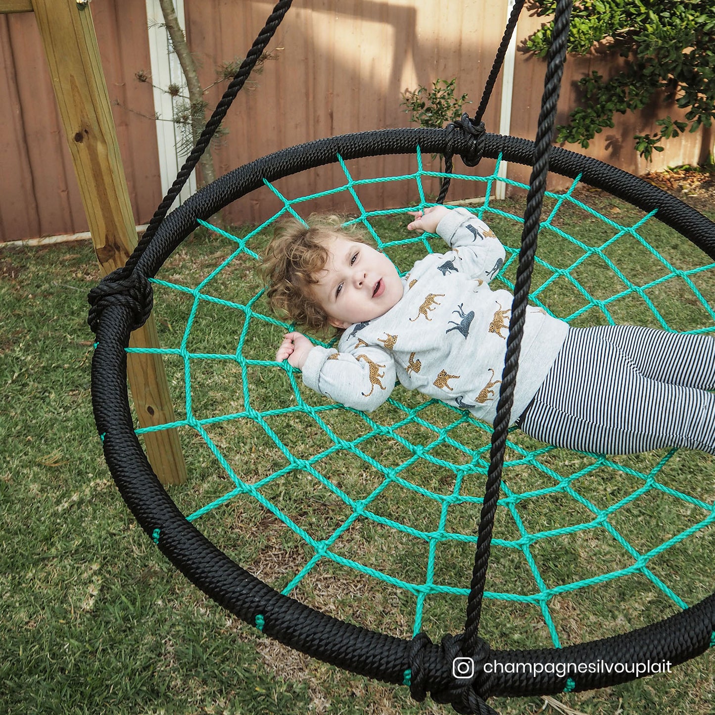 Oakley Swing Set